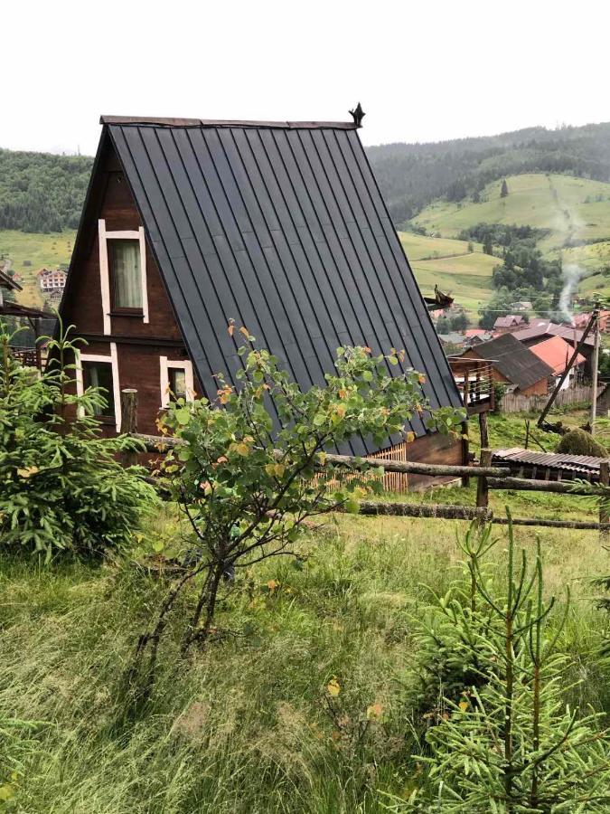 Apartamento Oak House Palyanytsya Exterior foto