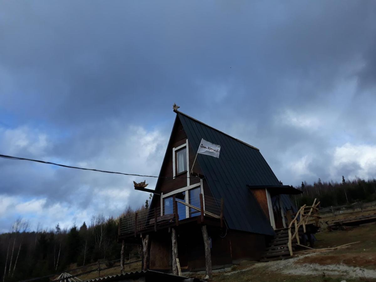 Apartamento Oak House Palyanytsya Exterior foto